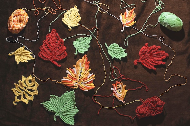 Colecție de motive broderie